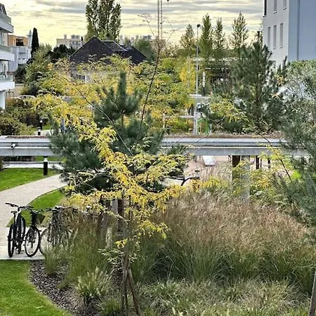 Superbe T3 Design Et Grande Terrasse 25m2 - Proche Strasbourg Apartmán