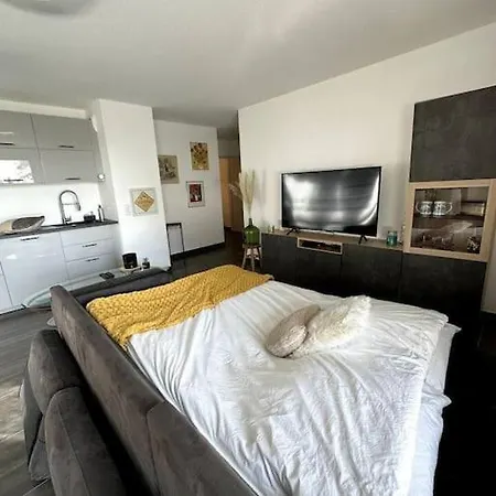 Superbe Proche De Strasbourg Bischheim