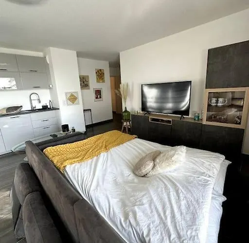 Superbe Proche De Strasbourg Bischheim